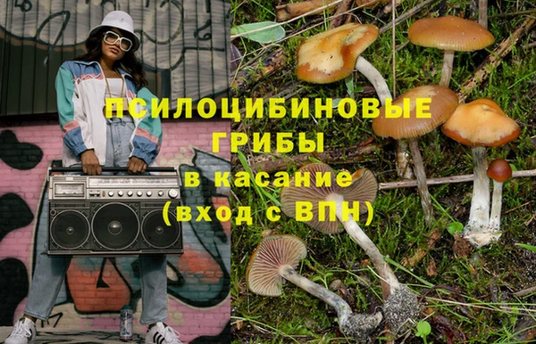 ECSTASY Магас