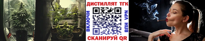 Купить где  Онега  Дистиллят ТГК концентрат 