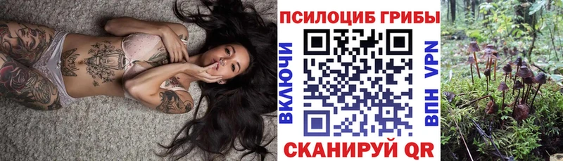 Купить закладки  Онега  Псилоцибиновые грибы Psilocybine cubensis 